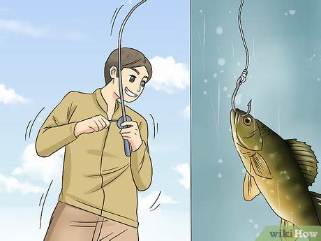 How to Catch Perch: 8 Steps (with Pictures) .